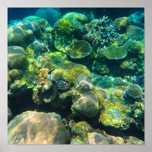 Gezeichnet von Great Barrier Reef Coral - #2 Poster (Vorne)