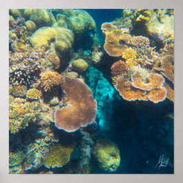 Gezeichnet von Great Barrier Reef Coral - #3 Poster