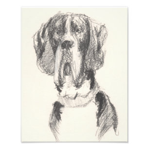 Gezeichnete Dogge Fotodruck