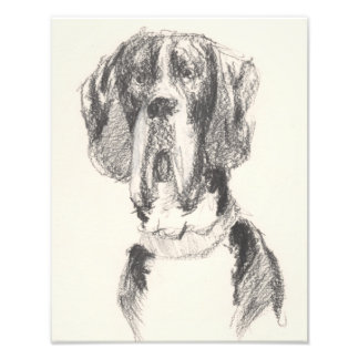 Gezeichnete Dogge Fotodruck