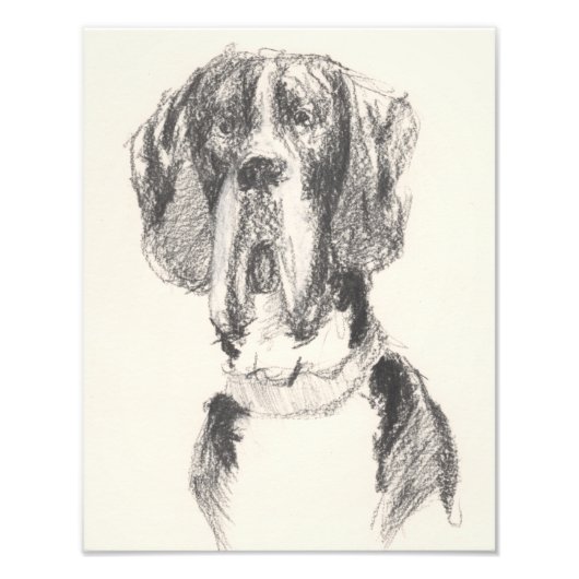 Gezeichnete Dogge Fotodruck (Vorne)