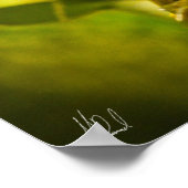 Gezeichnetes Green and Golden Bell Frog Poster (Ecke)