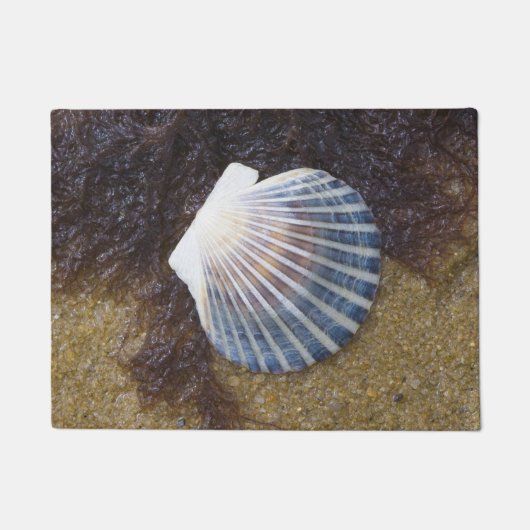 Gezeiten- Pool Fußmatte (Vorderseite)