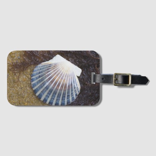 Gezeiten- Pool Gepäckanhänger (Vorderseite (Horizontal))