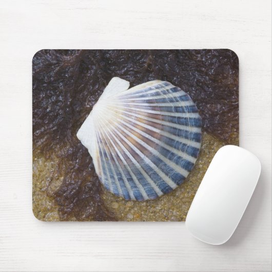 Gezeiten- Pool Mousepad (Mit Mouse)