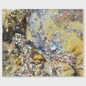 Gezeiten-Pool-Packpapier Geschenkpapier (Flach)