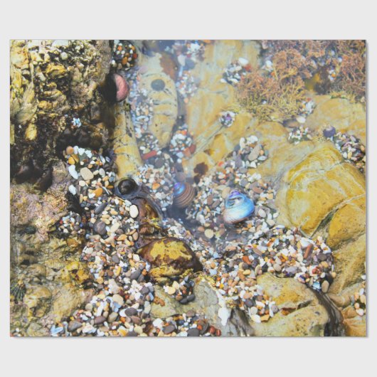 Gezeiten-Pool-Packpapier Geschenkpapier (Flach)