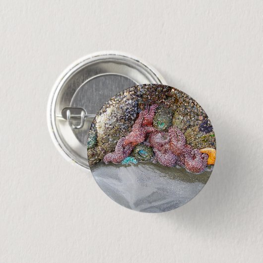 Gezeitenbad, Ruby Beach, Olympischer Nationalpark Button (Vorne & Hinten)