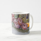Gezeitenbad, Ruby Beach, Olympischer Nationalpark Kaffeetasse (VorderseiteRechts)