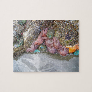 Gezeitenbad, Ruby Beach, Olympischer Nationalpark Puzzle