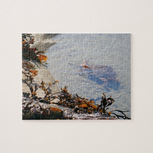 Gezeitenbecken am Sand Beach Puzzle (Horizontal)