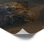 Gezeitenbecken leer poster (Ecke)