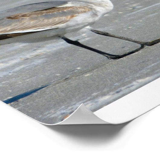 Gezeitenbüffet Poster (Ecke)