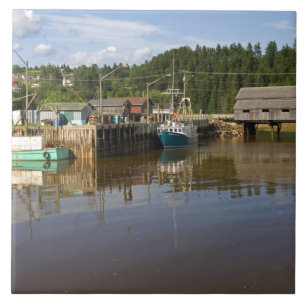 Gezeitenmitte in der Bay of Fundy bei St. Martins, Fliese