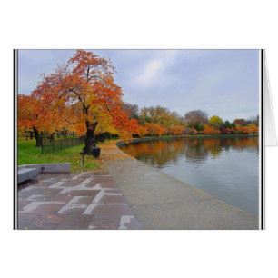 Gezeitenpool-Herbstfarben