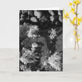 Gezeitenpool Karte (Gelbe Blume)