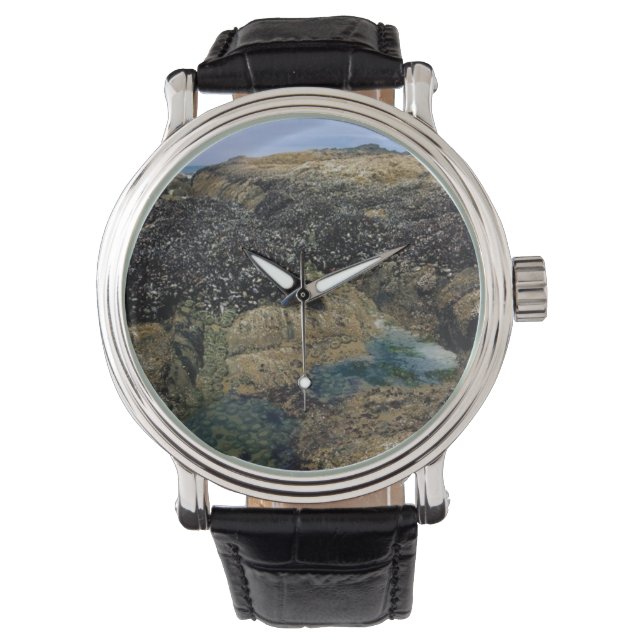 Gezeitenpools am Bob Creek, OR Armbanduhr (Vorderseite)
