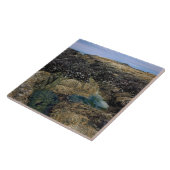 Gezeitenpools am Bob Creek, OR Fliese (Seite)