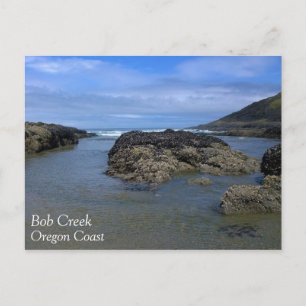 Gezeitenpools am Bob Creek, OR Postkarte
