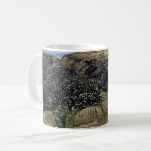 Gezeitenpools am Bob Creek, Oregon Kaffeetasse