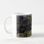 Gezeitenpools am Bob Creek, Oregon Kaffeetasse (Links)