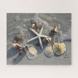 Gezeitenschätze, Florida Puzzle