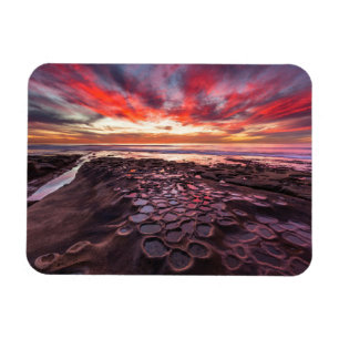 Gezeitentümpel in La Jolla, CA Magnet