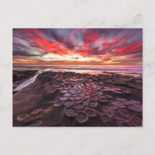 Gezeitentümpel in La Jolla, CA Postkarte