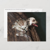 Gezieltes Personal Postkarte (Vorne/Hinten)