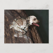 Gezieltes Personal Postkarte (Vorderseite)