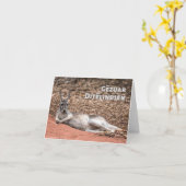 Gëzuar Ditëlindjen, Albanischer Geburtstag Karte (Gelbe Blume)