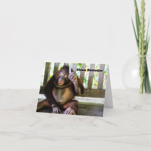 Gëzuar Ditëlindjen, Albanischer Geburtstag Karte (Vorderseite)