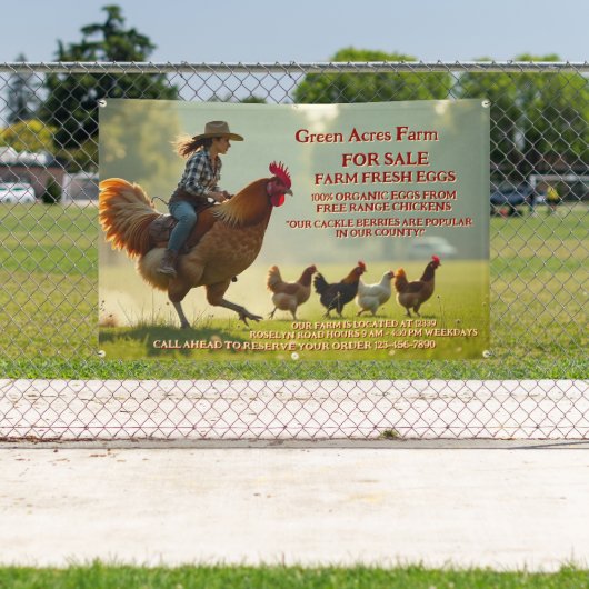 Gezüchtete Bio Landwirtschaft Frischeier Käfig fre Banner (InSitu)