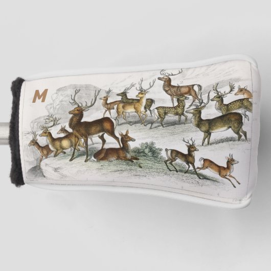 Gezüchteter Rotwild, Hind, Roebuck, Musk Deer Golf Headcover (Vorderseite)