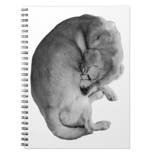 Gezwirnte Gedanken Notizblock