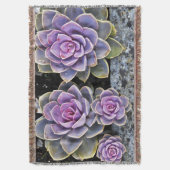 gh decke (Vorderseite Vertikal)