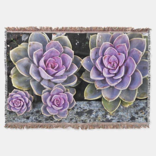 gh decke (Vorderseite)