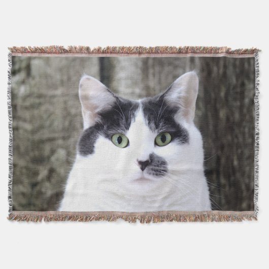 gh decke (Vorderseite)