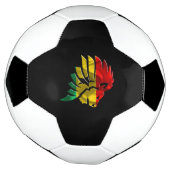 Ghana Fußball (Gedreht)
