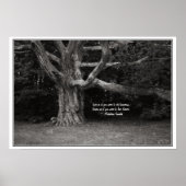 Ghandi Quote Poster, Perley Oak Monochrome Poster (Vorne)