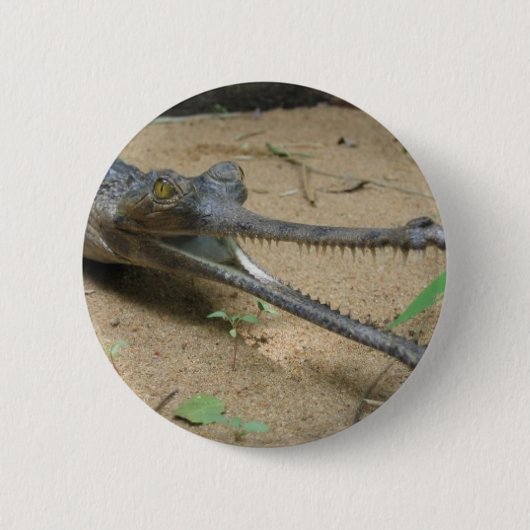 Gharial Button (Vorderseite)