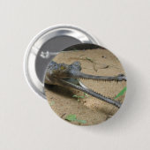 Gharial Button (Vorne & Hinten)