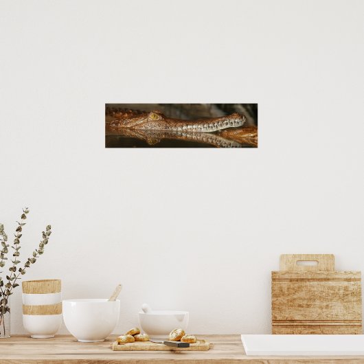 Gharial Poster (Küche)