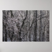 Ghear Icy Forest in Morgenlicht I Poster (Vorne)
