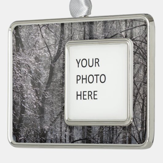 Ghear Icy Forest in Morgenlicht I Rahmen-Ornament Silber (Links)