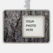 Ghear Icy Forest in Morgenlicht I Rahmen-Ornament Silber (Vorderseite)