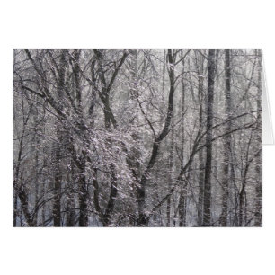 Ghear Icy Forest in Morgenlicht II