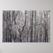 Ghear Icy Forest in Morgenlicht II Poster (Vorne)