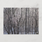 Ghear Icy Forest in Morgenlicht II Postkarte (Vorderseite)