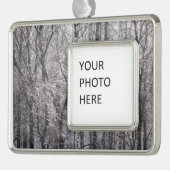 Ghear Icy Forest in Morgenlicht II Rahmen-Ornament Silber (Links)